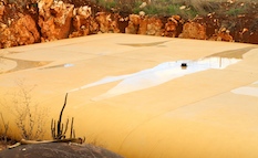 Transports routier économique SAVA